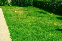IMG_0513_800x600